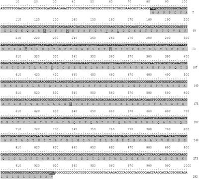 Porin Expression Profiles in Haemaphysalis longicornis Infected With Babesia microti